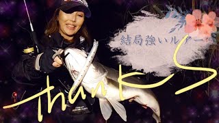 【シーバス】秋にはかかせないブローウィン165!元気なシーバス2匹キャッチ!