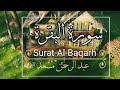 من سورة البقرة|عبد الرحمن مسعد|Surat Al-Baqarah complete Abdul Rahman Musaad