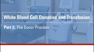 White blood cell donation and transfusion - part 2: The donor process