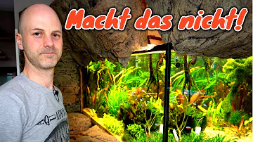 Welches Gemüse kann ich ins Aquarium geben?