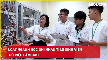 Loạt ngành học ghi nhận tỉ lệ sinh viên có việc làm cao| Báo Lao Động