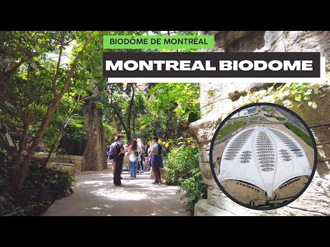 Video: Montreal Biodome je najveća gradska atrakcija za obitelji