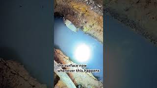 Signs of a Clogged Drain Field: What to Look For