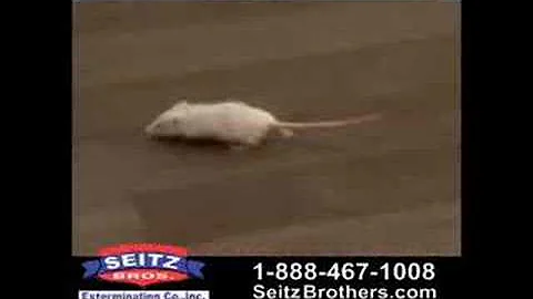 Seitz FOr Pests 2008 Pest Control Commercial Political Funny