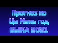 Прогноз по Ци Мэнь на год Быка 2021