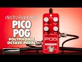 Electro Harmonix Pico POG 八度音效果器 product youtube thumbnail