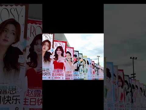 Everyone Prepared To Celebrate Zhao Lusi S Birthday Zhaolusi