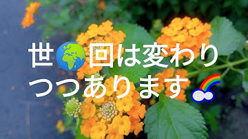 2025年10月18日明るい未来を信じて🌈今日も一緒にラブ&ピース✌️を願いましょう🥰💖🎶#季節の花#お散歩
