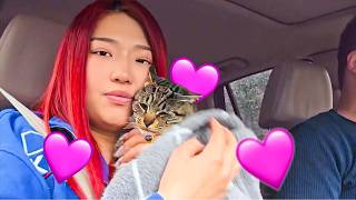 Nina Lin Becomes A Cat Sitter..