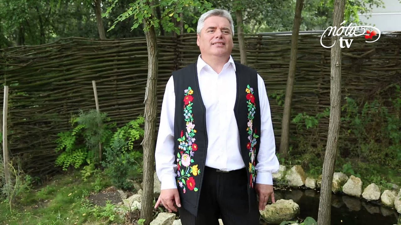 Nádasdi László - Jázminbokor kihajlik az utcára