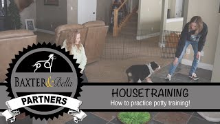 BAXTER & Bella - An Introduction to Housetraining by BAXTER & Bella The Online Puppy School! 8,993 views 1 year ago 2 minutes, 34 seconds