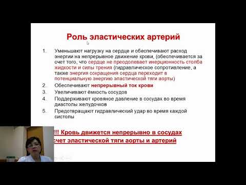 Физиология кровообращения 2  Гемодинамика