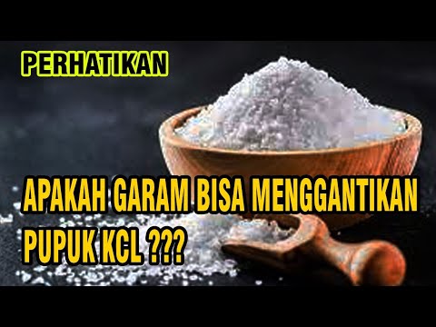 Video: Apakah garam mengandung kalium?