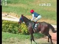 109 the star haven plate div2 sep 09 2018 winnerta ta