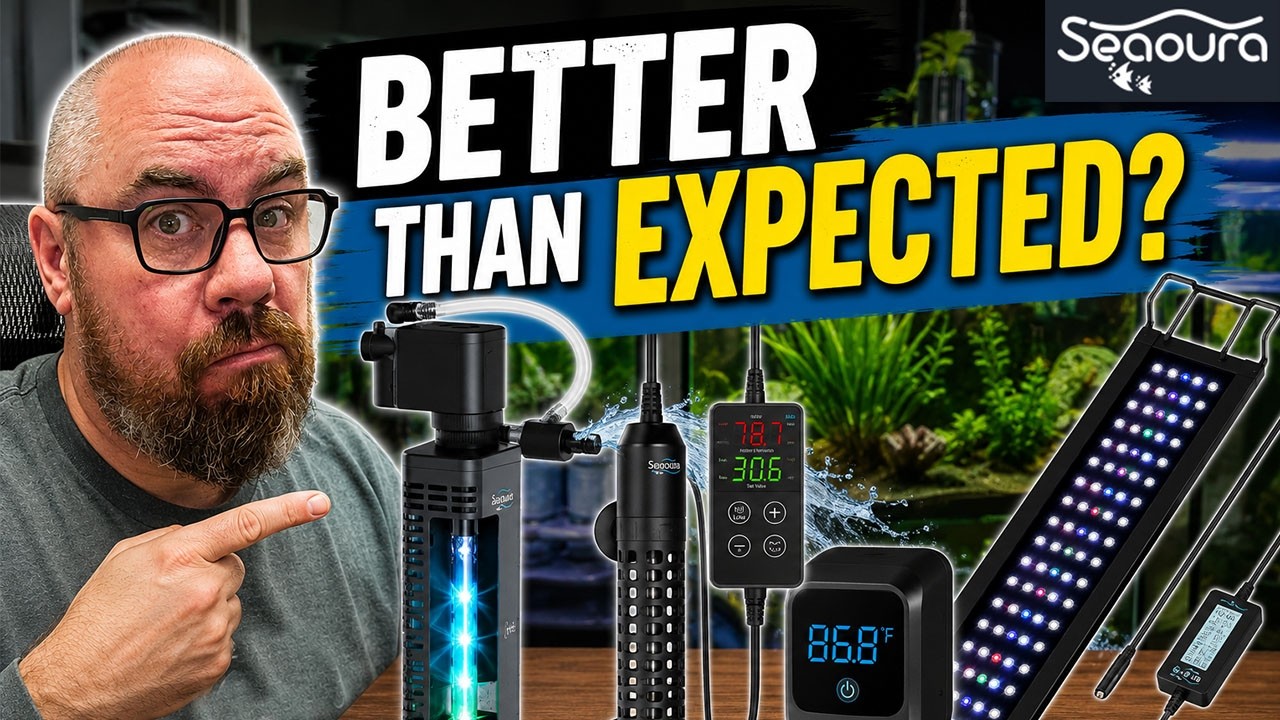 I Tested Seaoura Aquarium Gear So You Don't Have To!
