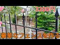 庭diy｜激安diy｜予算3200円で豪華なフェンスを作ってみた Build a cheap and luxurious fence