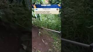 Анекдот про Гаишников😂 #юмор