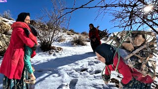 Download Lagu 🌟 Mina's adventure in the mountain: 🙏 Big firewood and sweet moments with Venus! 🌟 MP3