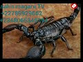 Bakin Sirri Na Samun Dukiya Da Manyan Kudi Mujarrabun