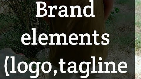 what are brand elements(logo,taglines and name )
