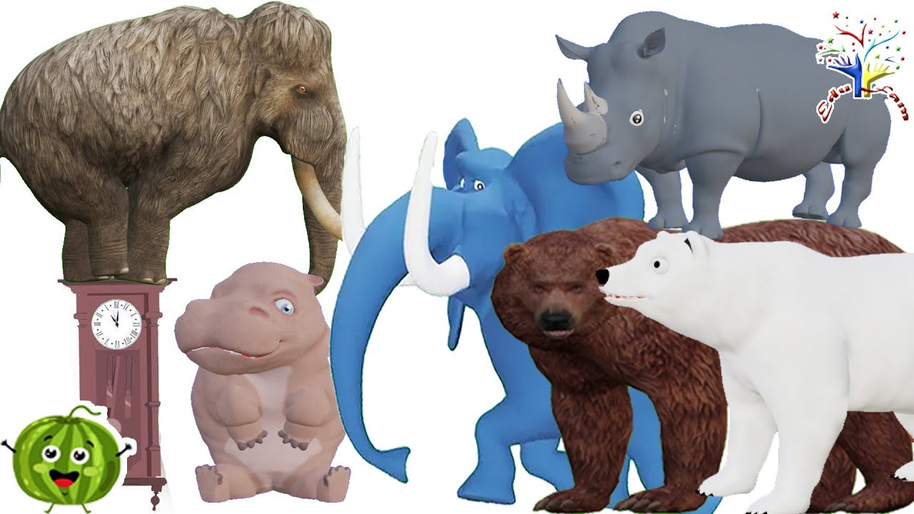 Hickory Dickory Dock 🐢🐇 Rabbit & Turtle Race! AI30AI32 || Nursery Rhymes for Kids by edufam