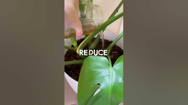 Don’t throw away your #banana peels! Here’s how to #reuse them and make plant fertiliser.