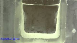 Eutectic Solidification Wealth