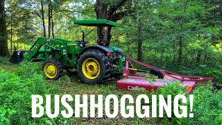 BUSHHOGGING with a John Deere!