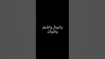 (سورة الحج، آية 18)