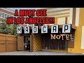 Exploring the creepy Madcap Motel in Los Angeles!