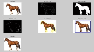 Proses Segmentasi Citra (Vision) Menggunakan Matlab - Pedro Marhendra