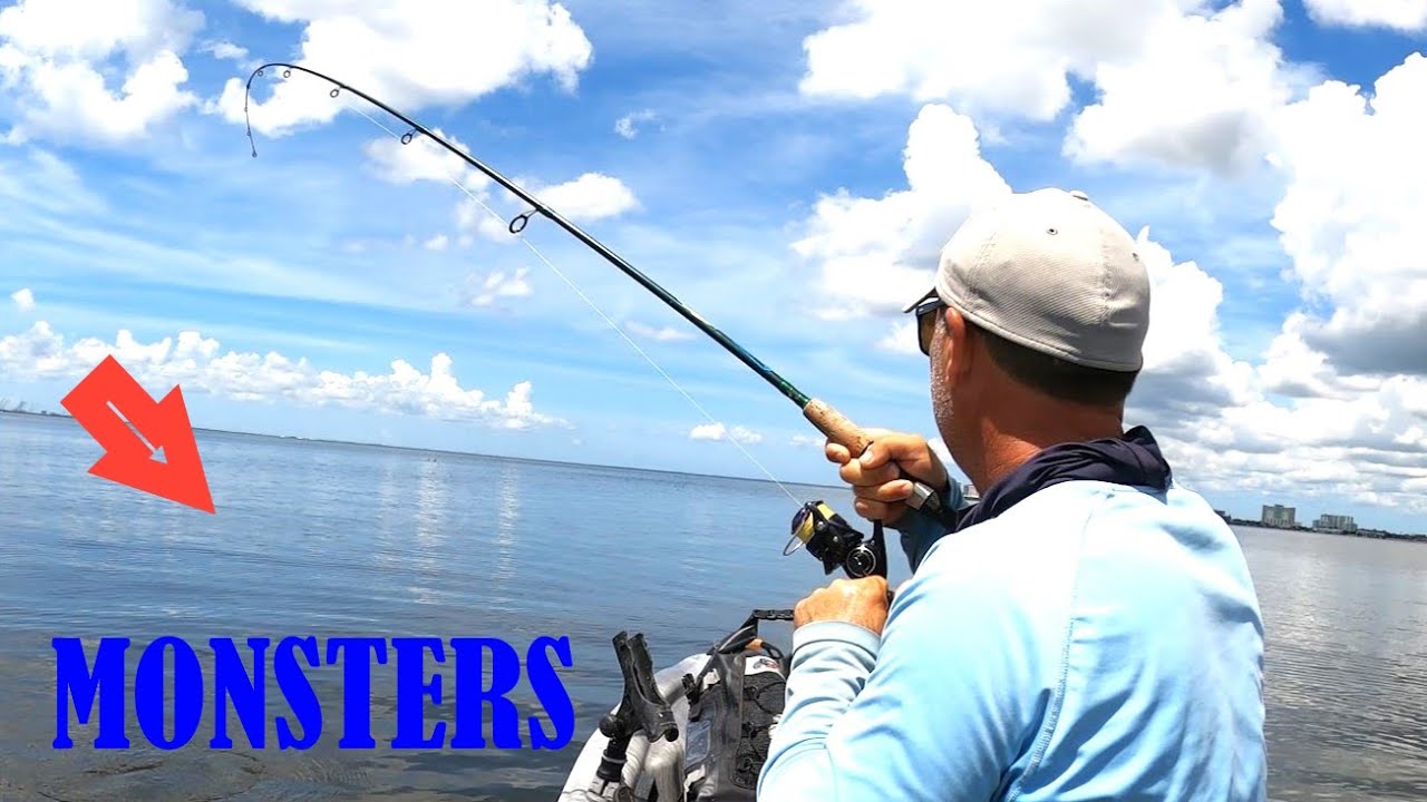 i didn't expect to catch this fish!! (Fishing Tampa Bay Florida) - YouTube