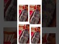 Ammu papa cute video#love #fun #video @sanju_tejavath9