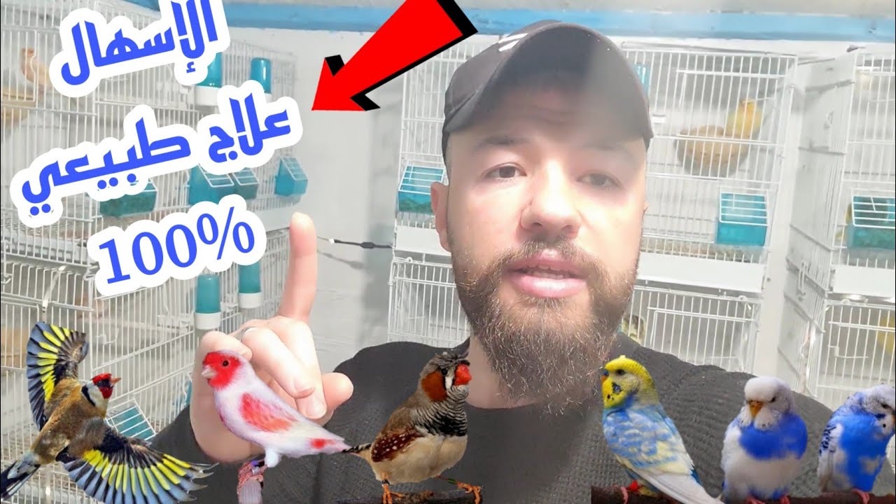 الإسهال افضل علاج طبيعي لجميع أنواع طيور الزينه ⚘بطرق طبيعية فعالة ومجربة⚘معلومات مهمة داخل الفيديو