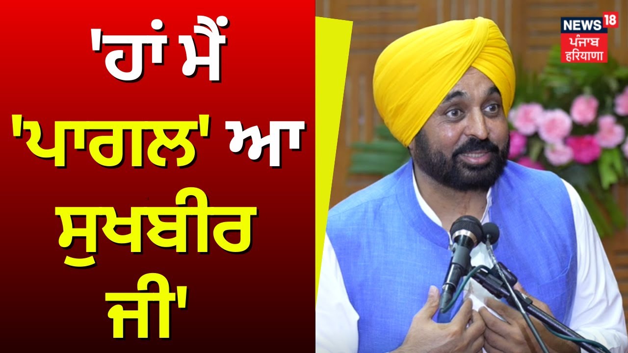 Bhagwan Mann on Sukhbir Badal | 'ਹਾਂ ਮੈਂ 'ਪਾਗਲ' ਆ ਸੁਖਬੀਰ ਜੀ' | Chandigarh News | News18 Punjab