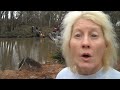 Cow stuck in bayou rescued in Dickinson, Texas