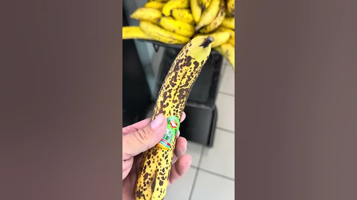 video-output-5444644D-BD37-48FE-A6CB-6E1CF78FDCB1-1.mov