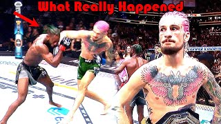 ONE PUNCH!!! What Really Happened (Aljamain Sterling vs Sean O'Malley)