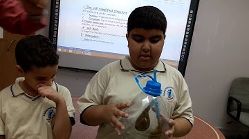 Respiratory system and digestive system for 4th  grade