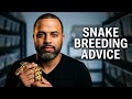 Advice For New Snake Breeders