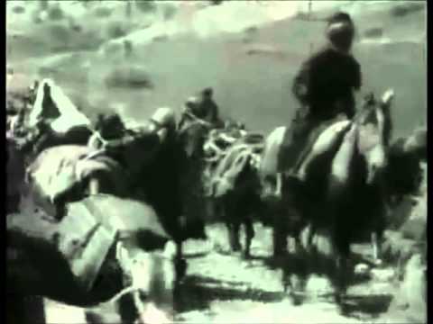 To Bio توبیو تی مو بنشین