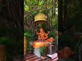 Dil Laga liya 🚩🌹💞😘🚩🙏#trending #song #viral #short #hanuman #youtubeshorts #hanuman #youtube 🚩🚩😔🌹