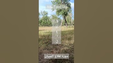 #سورة #سورة_البقرة #سورة_الكهف #سورة_الواقعة #القرآن_الكريم #الدعاء #دعاء