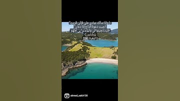 سورة البقرة #قران_كريم #قرآن #تلاوة_هادئة #تلاوة_خاشعة #تلاوات_خاشعة #سورة_البقرة