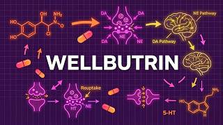 WELLBUTRIN explained in 9 Minutes