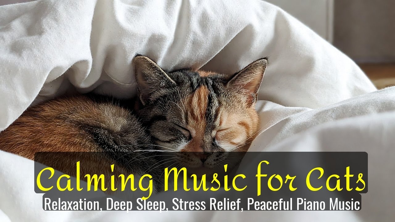 Calming Music for Cats - Relaxation, Deep Sleep, Stress Relief, Peaceful Piano Music | Season 48
