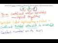 Understanding Algebraic Expressions and Terms