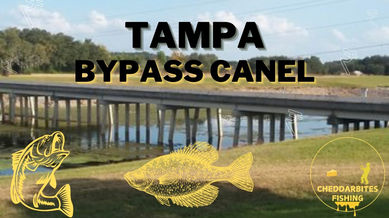 TAMPA BYPASS BASS FISHING!!