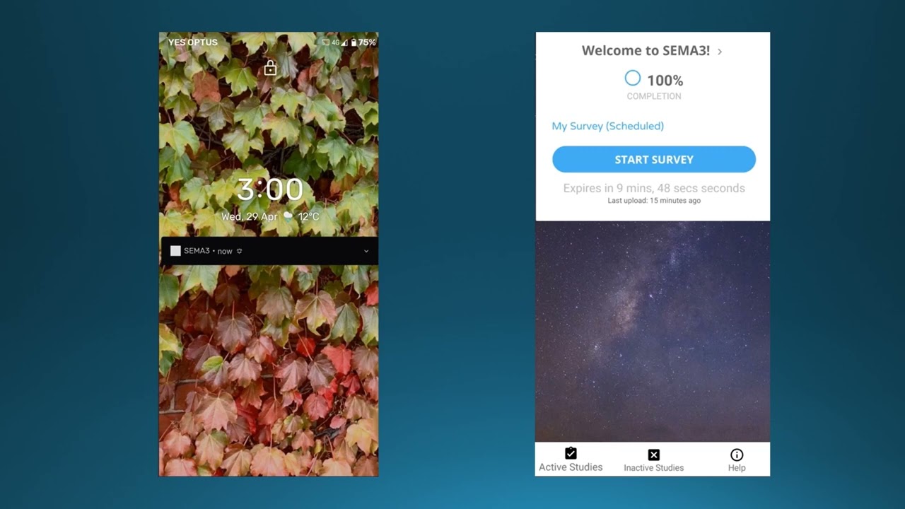 SEMA3 Instruction Video for Prolific Participants