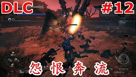 【洛西】仁王 DLC 怨恨奔流 #12 通關攻略解說視頻 Nioh Game Guides - 天天要聞